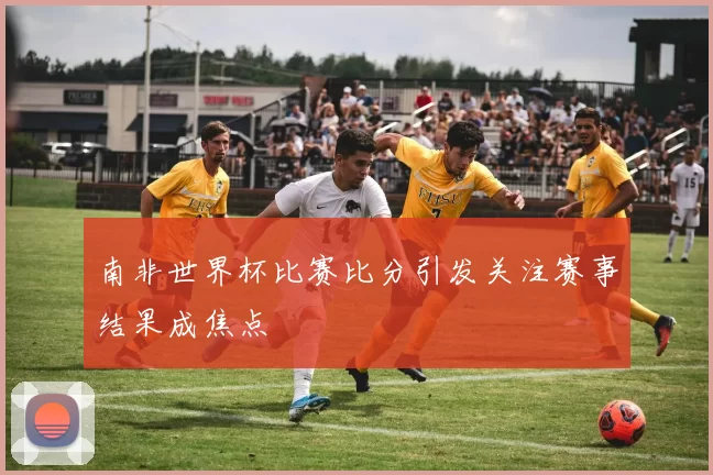 南非世界杯比赛比分引发关注赛事结果成焦点