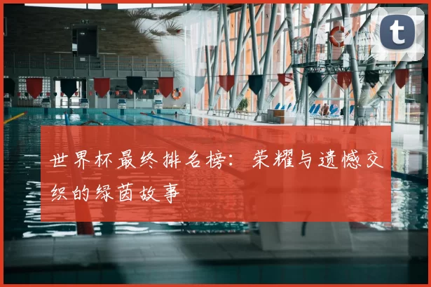 世界杯最终排名榜：荣耀与遗憾交织的绿茵故事