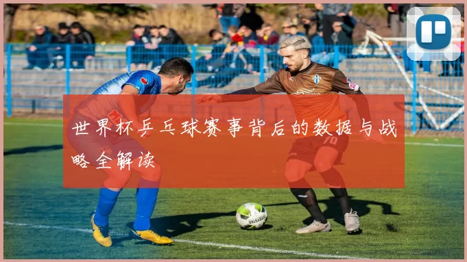世界杯乒乓球赛事背后的数据与战略全解读