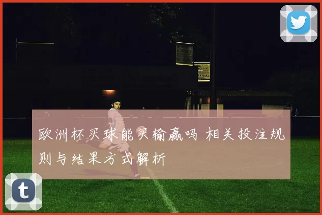 欧洲杯买球能买输赢吗 相关投注规则与结果方式解析
