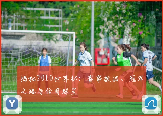 揭秘2010世界杯：赛事数据、冠军之路与传奇球星
