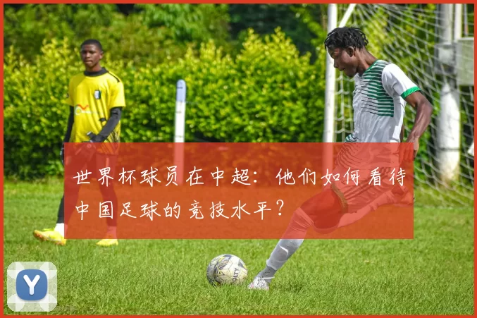 世界杯球员在中超:他们如何看待中国足球的竞技水平?