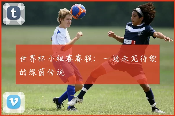 世界杯小组赛赛程：一场未完待续的绿茵传说