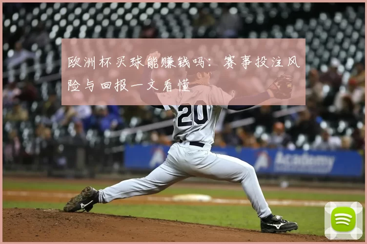 欧洲杯买球能赚钱吗:赛事投注风险与回报一文看懂
