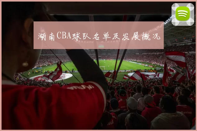 湖南CBA球队名单及发展概况