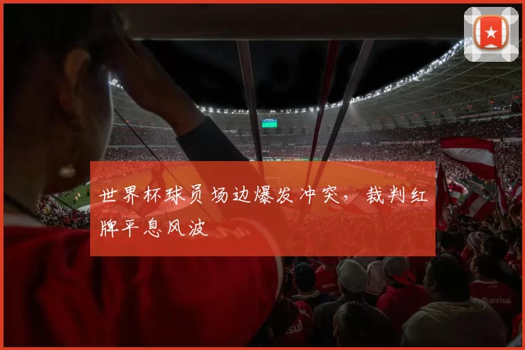 世界杯球员场边爆发冲突，裁判红牌平息风波