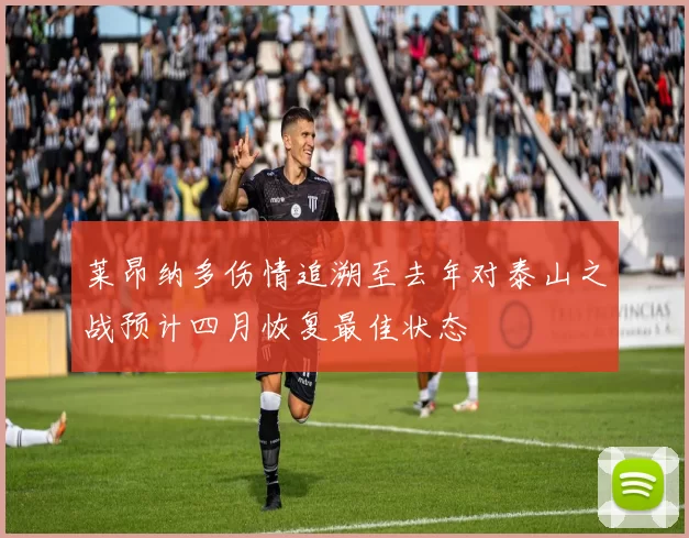莱昂纳多伤情追溯至去年对泰山之战预计四月恢复最佳状态