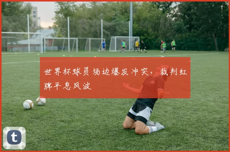 世界杯球员场边爆发冲突,裁判红牌平息风波