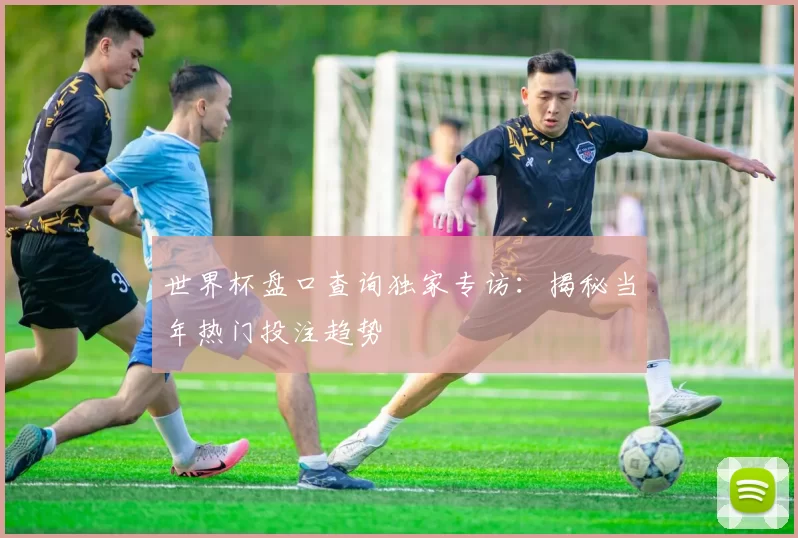 世界杯盘口查询独家专访：揭秘当年热门投注趋势