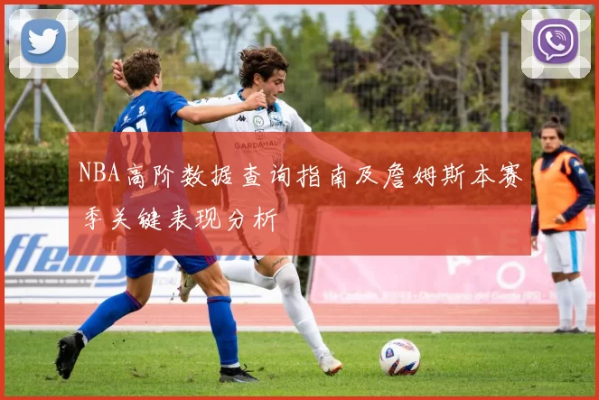 NBA高阶数据查询指南及詹姆斯本赛季关键表现分析