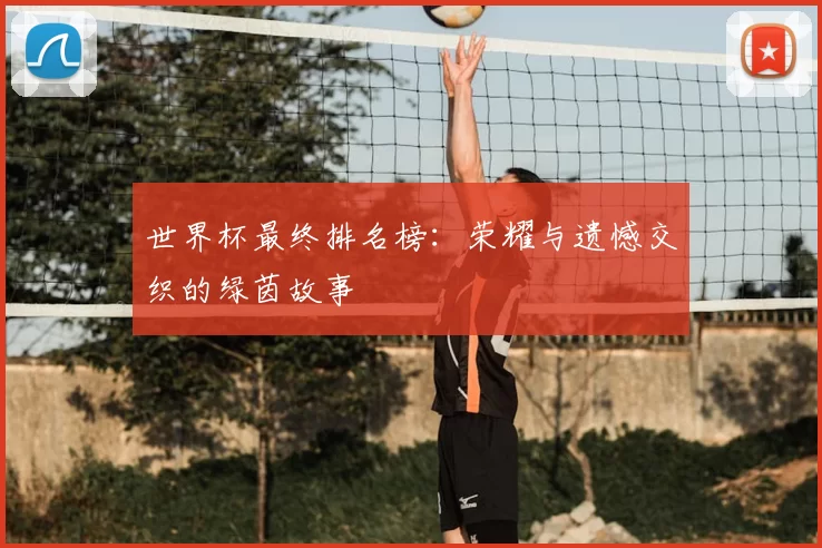 世界杯最终排名榜:荣耀与遗憾交织的绿茵故事