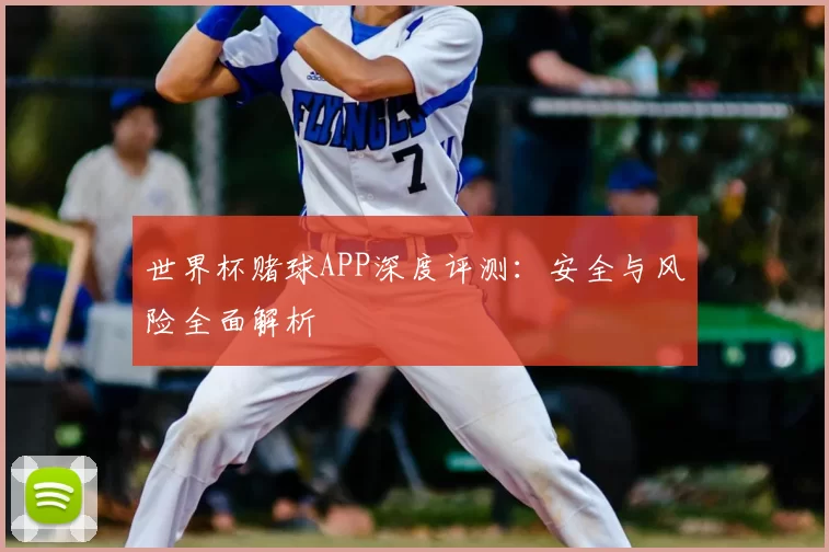 世界杯赌球APP深度评测：安全与风险全面解析