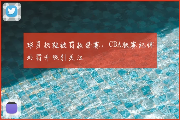 球员扔鞋被罚款禁赛，CBA联赛纪律处罚升级引关注