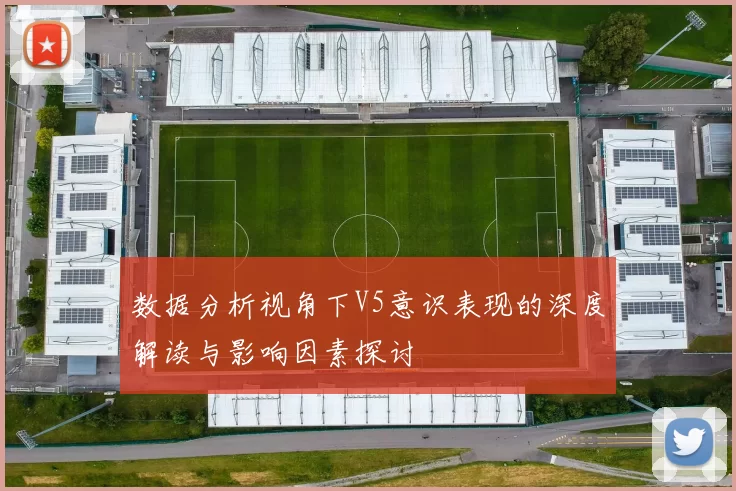 数据分析视角下V5意识表现的深度解读与影响因素探讨