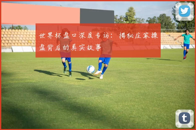 世界杯盘口深度专访：揭秘庄家操盘背后的真实故事